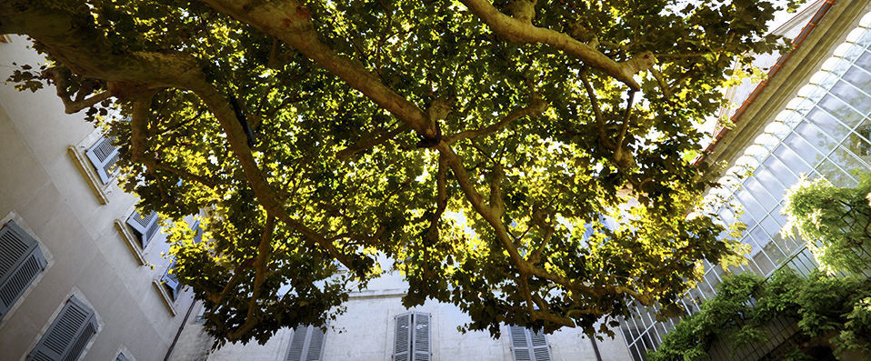 Hôtel d'Europe ★★★★★ - Un séjour historique dans l’un des plus beaux hôtels de la région. - Avignon, France