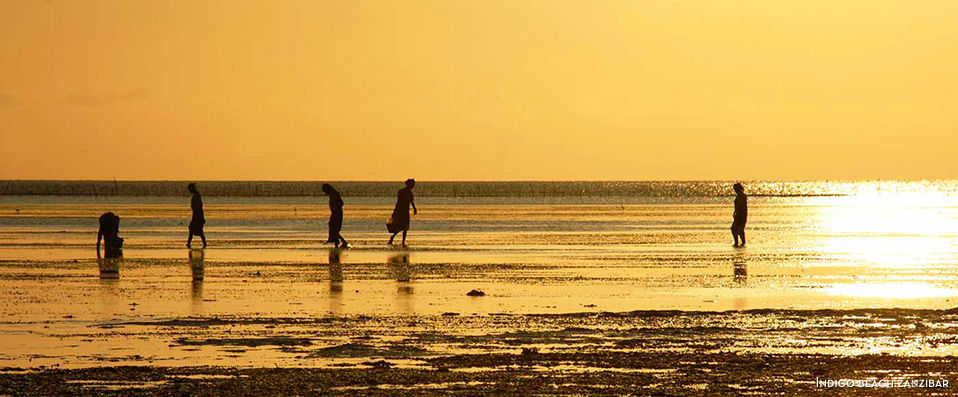 Bush, Culture & Beach in Tanzania - The unbeatable African adventure in three hotels across Tanzania & Zanzibar. - Tanzania & Zanzibar