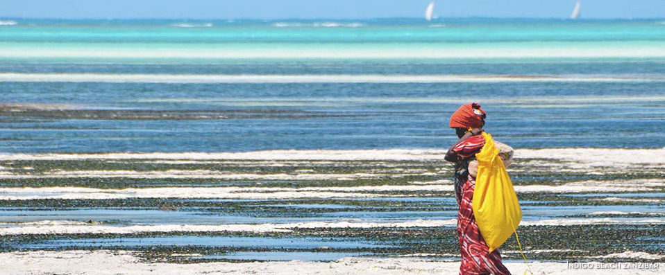 Savane, culture et plage en Tanzanie - Savane, culture et plage pour découvrir l’Afrique sous son plus beau jour, en 3 hôtels avec 3 nuits en Tanzanie et 5 nuits à Zanzibar. - Tanzanie & Zanzibar