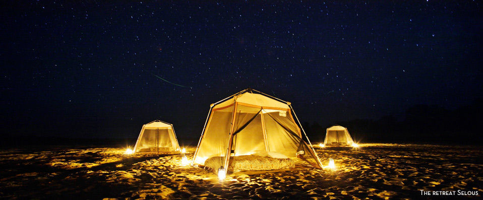 Savane, culture et plage en Tanzanie - Savane, culture et plage pour découvrir l’Afrique sous son plus beau jour, en 3 hôtels avec 3 nuits en Tanzanie et 5 nuits à Zanzibar. - Tanzanie & Zanzibar