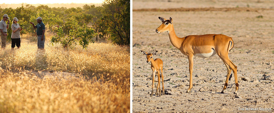 Savane, culture et plage en Tanzanie - Savane, culture et plage pour découvrir l’Afrique sous son plus beau jour, en 3 hôtels avec 3 nuits en Tanzanie et 5 nuits à Zanzibar. - Tanzanie & Zanzibar