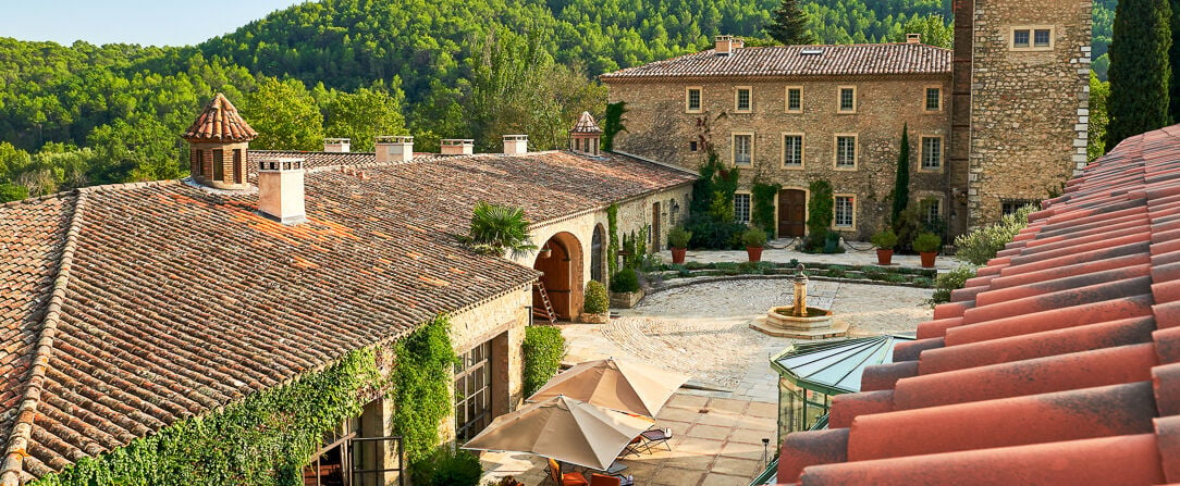  - Luxury and perfect wine in a splendid Provence Château. - Provence, France