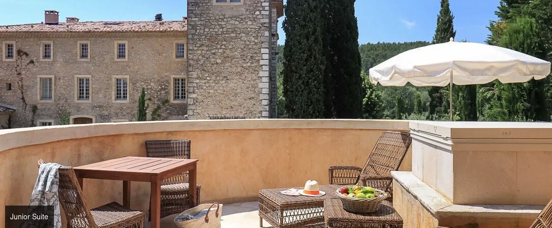  - Luxury and perfect wine in a splendid Provence Château. - Provence, France