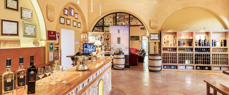 Château de Berne ★★★★★ - Luxury and perfect wine in a splendid Provence Château. - Provence, France