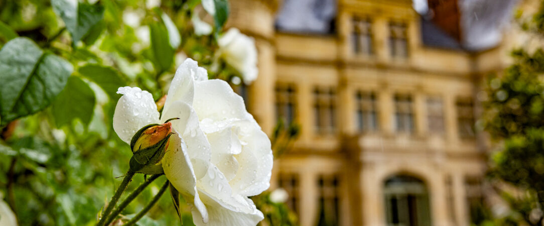 Château de La Bourdaisière - Nature & dépaysement près de Tours. - Val de Loire, France