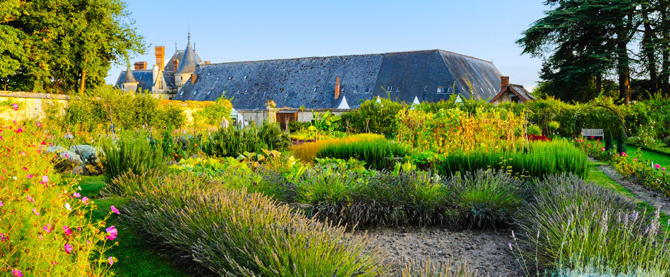 Château de La Bourdaisière - Nature & dépaysement près de Tours. - Val de Loire, France