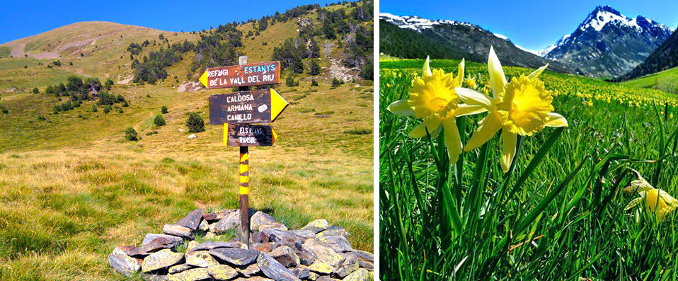 Hotel & Spa Xalet Bringué ★★★★ - Bienvenue dans le chalet contemporain d'une famille d’Andorrans. - El Serrat, Andorre