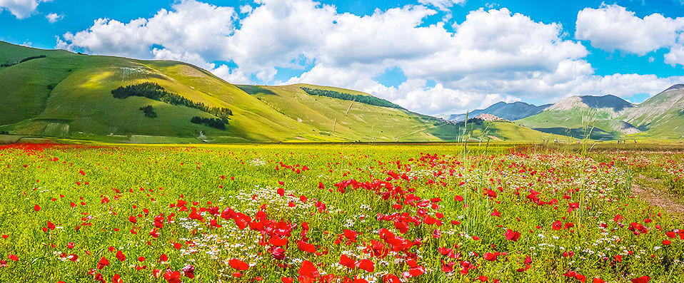 Griffin's Resort - A hotel, farm and vineyard set in the glorious Italian hills. - Umbria, Italy