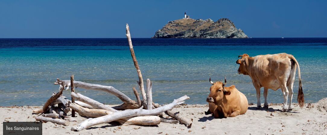 Suite Home Porticcio ★★★★ - Divine seaside suites in sunny Porticcio. - Corsica, France