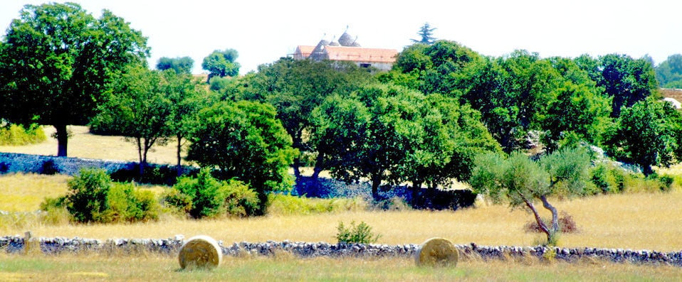 Victor Country Hotel - Masseria ★★★★ - Sunny Apulian adventure in a lovely 19th-century Masseria. - Puglia, Italy