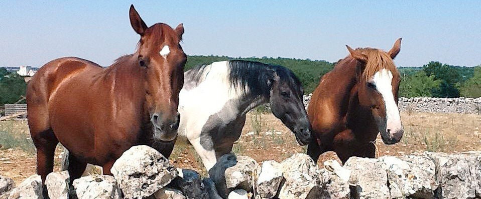 Victor Country Hotel - Masseria ★★★★ - Sunny Apulian adventure in a lovely 19th-century Masseria. - Puglia, Italy