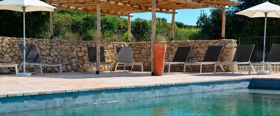 Domaine des Peyre - Wine tourism in the picturesque Luberon. - Luberon, France