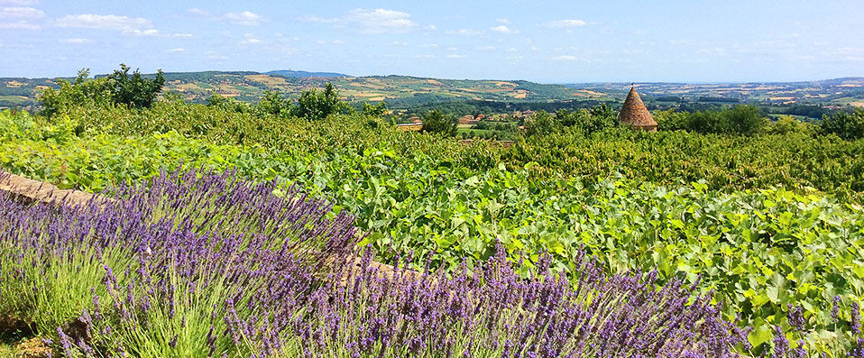 Château de Bagnols ★★★★★ - Perfectly and regally restored chateau comfort. - Beaujolais, France