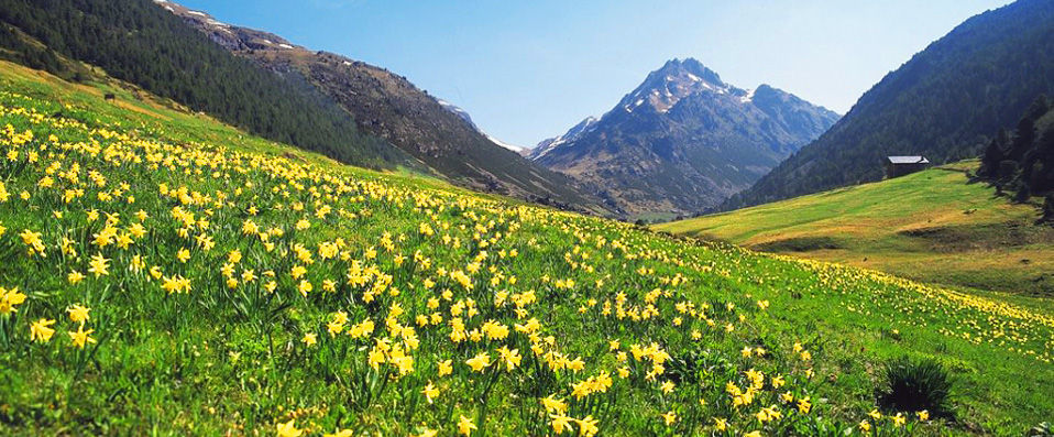 Hotel Exe Prisma ★★★★ - Adore Andorra from the plush Exe Prisma. - Escaldes-Engordany, Andorra