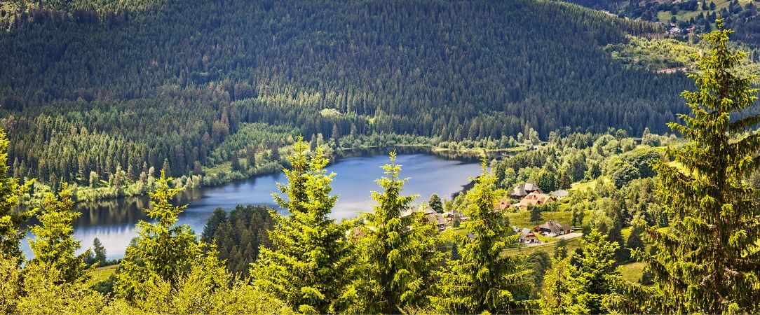 Schwarzwald Panorama ★★★★ - Leave your troubles behind at this serene spa hotel with stunning views over the Black Forest. - Black Forest, Germany