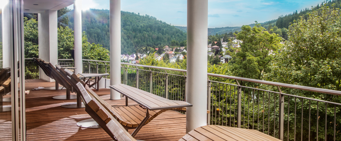 Schwarzwald Panorama ★★★★ - Un havre de paix dans la mythique Forêt-Noire. - Forêt-Noire, Allemagne