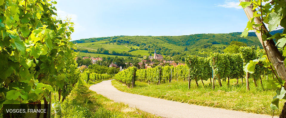 Les Jardins de Sophie ★★★★ - Une perle de détente dans un écrin d’émeraude. - Vosges, France