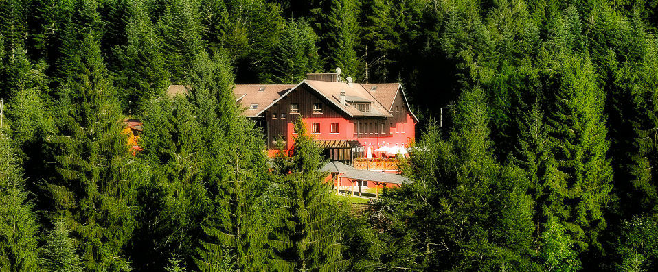 Les Jardins de Sophie ★★★★ - Une perle de détente dans un écrin d’émeraude. - Vosges, France