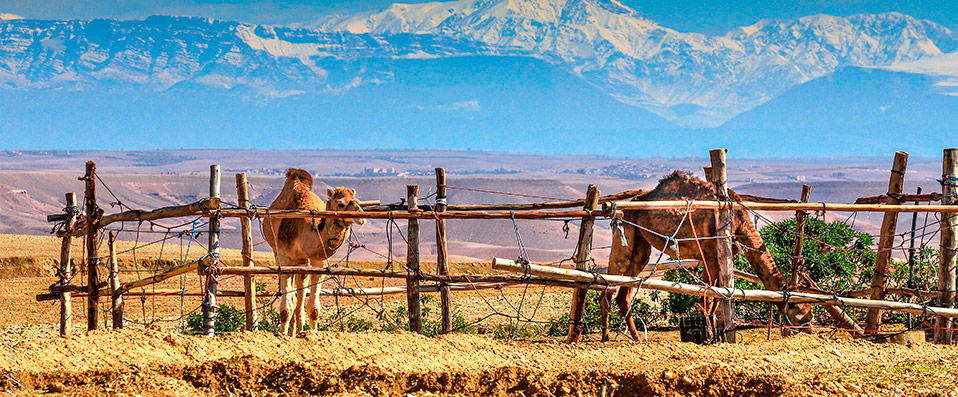 Terre des Étoiles - Bivouac de luxe sous les étoiles du désert marocain. Demi-pension incluse. - Désert Marrakchi, Maroc