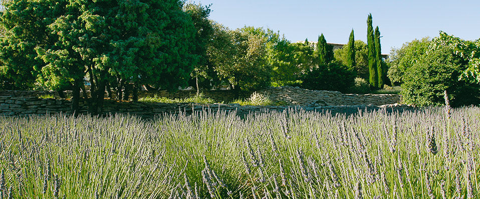 Les Bories & Spa ★★★★★ - Quintessentially French boutique hotel in beautiful Gordes. - Gordes, France