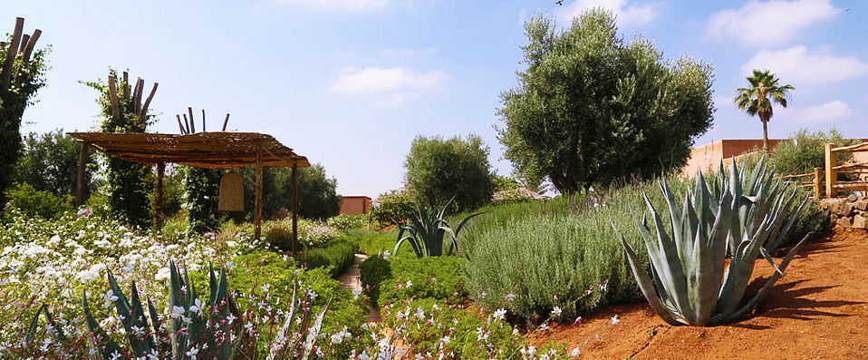 The Source ★★★★★ - Une maison d’hôte exceptionnelle pour une escapade ressourçante à Marrakech. - Marrakech, Maroc