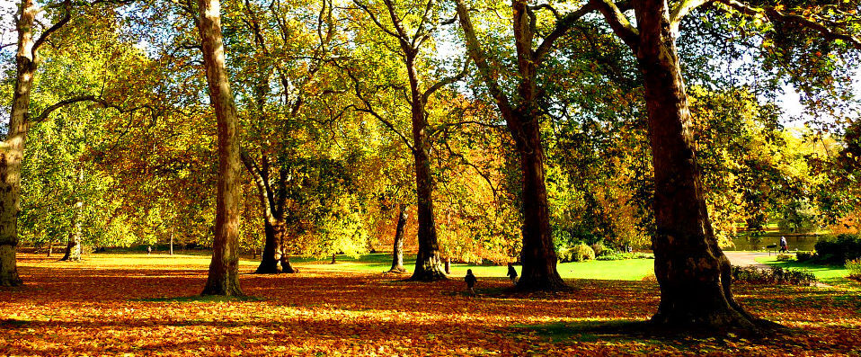 Danubius Hotel Regents Park ★★★★ - Par Nicolas Chavanes, correspondant de VeryChic - Londres, Angleterre