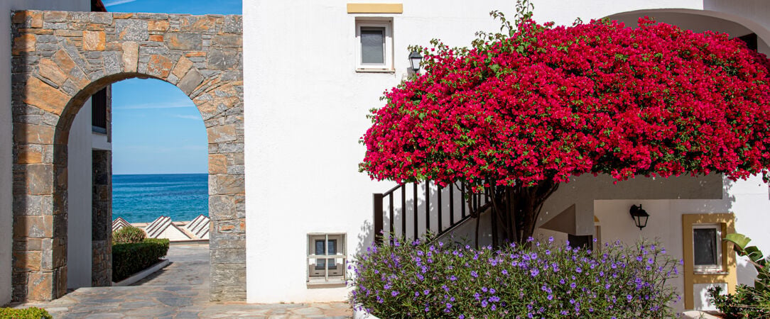 Alexander Beach Hotel & Village Resort ★★★★★ - Évasion en demi-pension sur les rives de Crète, entre douceur grecque et élégance balnéaire. - Crete, Greece