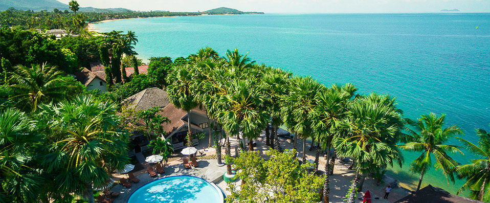 Paradise Beach Resort ★★★★ - A slice of paradise on the peaceful shores of Koh Samui. - Koh Samui, Thailand