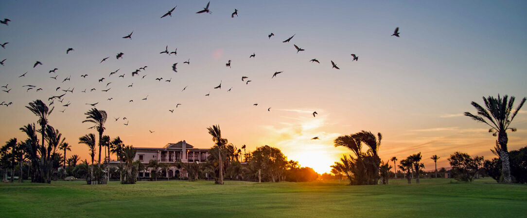 Hôtel du Golf Pickalbatros ★★★★★ All Inclusive & Adults Only - Un joyau rare au cœur de la Palmeraie. - Marrakech, Maroc