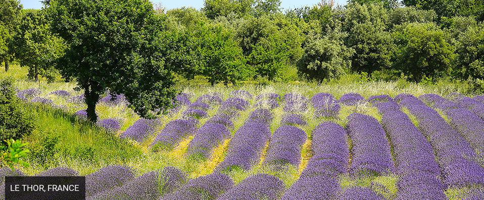 La Bastide Rose - Séjour de charme sur les pas de Marcel Pagnol. - Provence, France