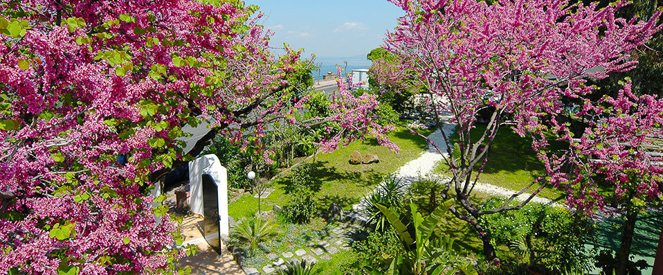 Hotel Terme Italia ★★★★ - Une île et rien d’autre. - Ischia, Italie