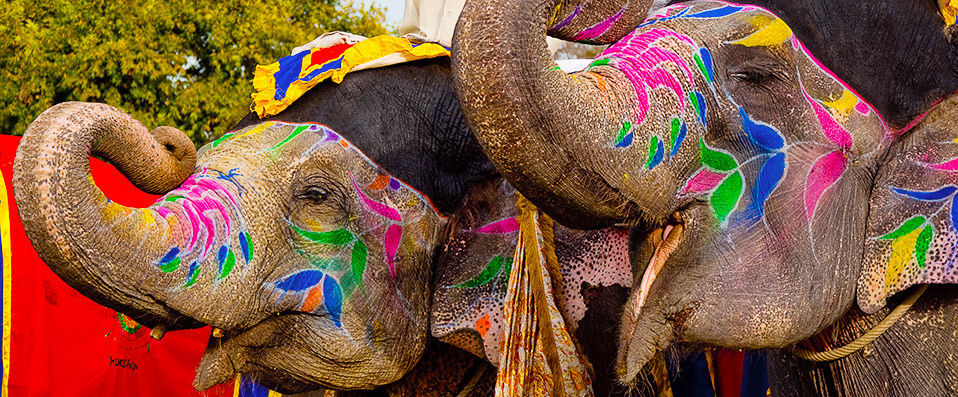 Private tour – The essentials of Rajasthan - 7, 9 or 12 nights, with half board included, discovering the Land of Kings. - Rajasthan, India