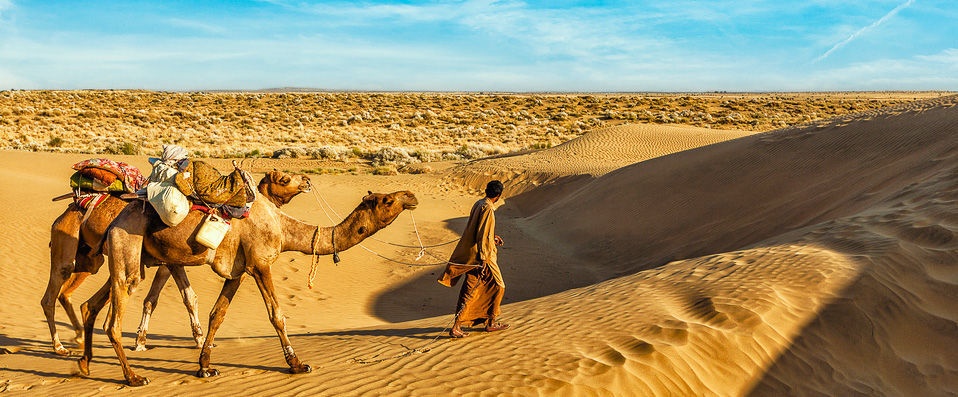 Private tour – The essentials of Rajasthan - 7, 9 or 12 nights, with half board included, discovering the Land of Kings. - Rajasthan, India