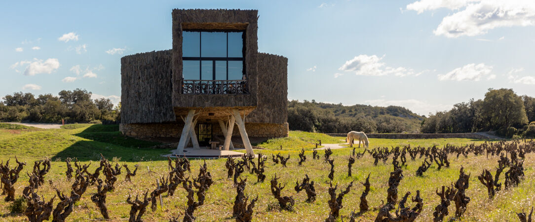 Château & Village Castigno - Sustainable Wine Resort - Partez à la découverte de l'œnotourisme en Languedoc, au cœur du vignoble d'Assignan, entre garrigue et douceur de vivre - Hérault, France