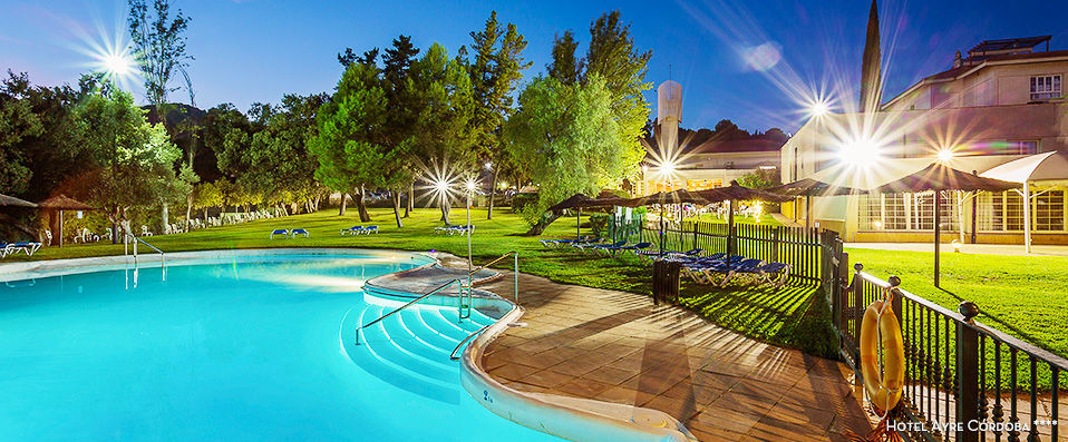 Driving Tour of Andalusia - 5, 7 or 10 night tour in 4-star hotels, discover the bountiful marvels of Andalusia in complete freedom. - Andalusia, Spain