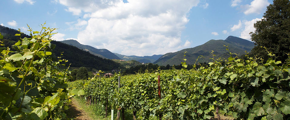 Podere Castel Merlo - A secluded luxury retreat in the heart of idyllic Bergamo. - Iseo Lake, Italy