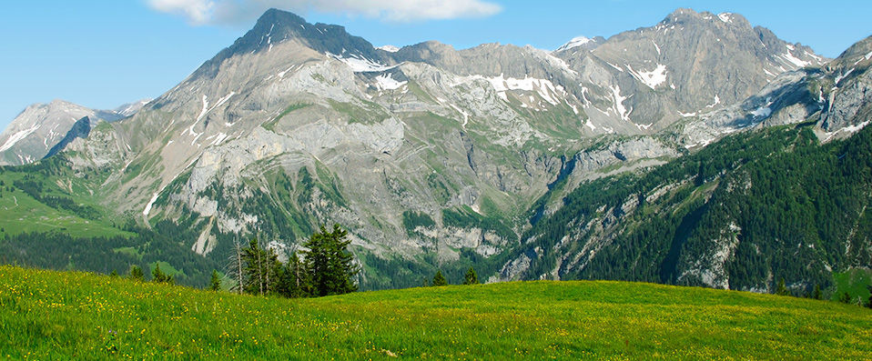 Boutique Hotel Alpenrose ★★★★ - Beautiful boutique chalet retreat in the Swiss Alps. - Gstaad, Switzerland