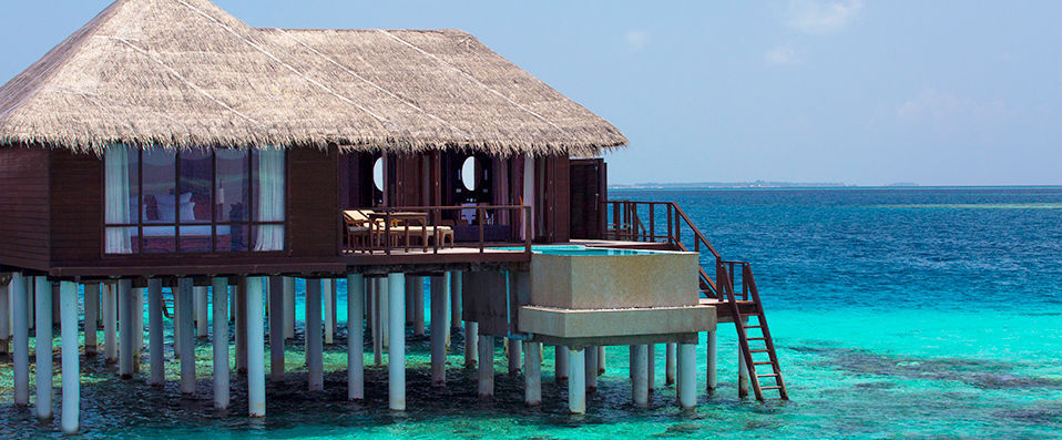 Coco Bodu Hithi ★★★★★ - Exotisme raffiné et plage immaculée aux Maldives. - Maldives