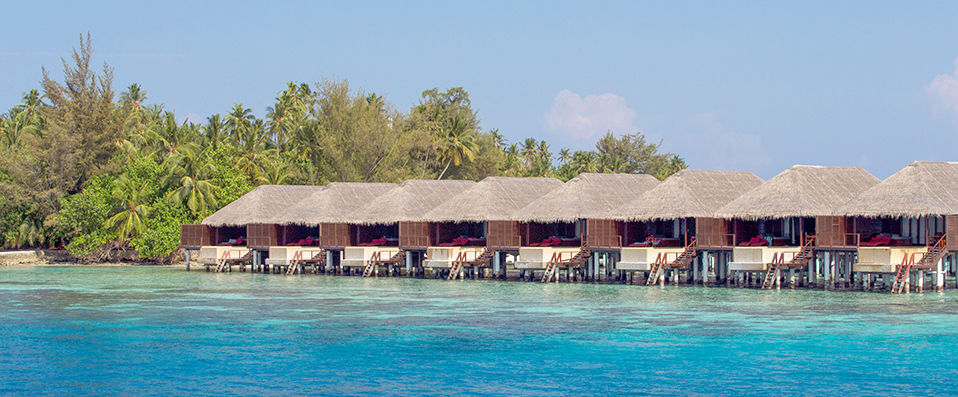 Coco Bodu Hithi ★★★★★ - Exotisme raffiné et plage immaculée aux Maldives. - Maldives