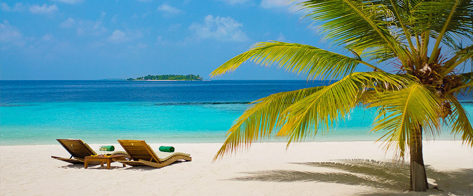 Coco Bodu Hithi ★★★★★ - Exotisme raffiné et plage immaculée aux Maldives. - Maldives