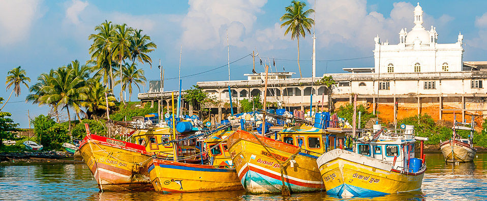 Circuit privé : À la découverte du Sri Lanka - 5 nuits en circuit privatif au Sri Lanka et extension de 3, 4, 5 ou 7 nuits en séjour balnéaire. - Sri Lanka