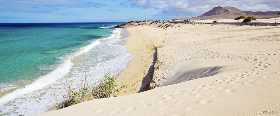 The Canary Islands Discovery Cruise - Set sail for a 7-night cruise uncovering the hidden wonders of the Canaries. - Canary Islands
