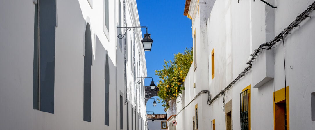 M'AR De AR Aqueduto ★★★★★ - A 16th century palace restored to its former glory as a five-star hotel - Evora, Portugal