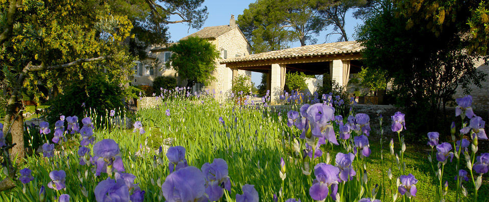 Le Mas de la Rose - Uncover the very best of Provence in this idyllic 17th century retreat. - Provence, France