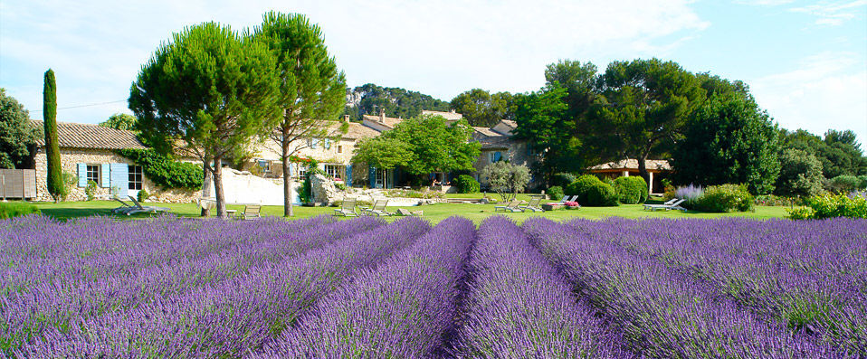 Le Mas de la Rose - Uncover the very best of Provence in this idyllic 17th century retreat. - Provence, France