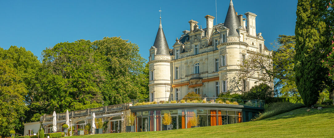 Domaine de la Tortinière ★★★★ - Live just like a royal for the weekend. - Centre-Val de Loire, France