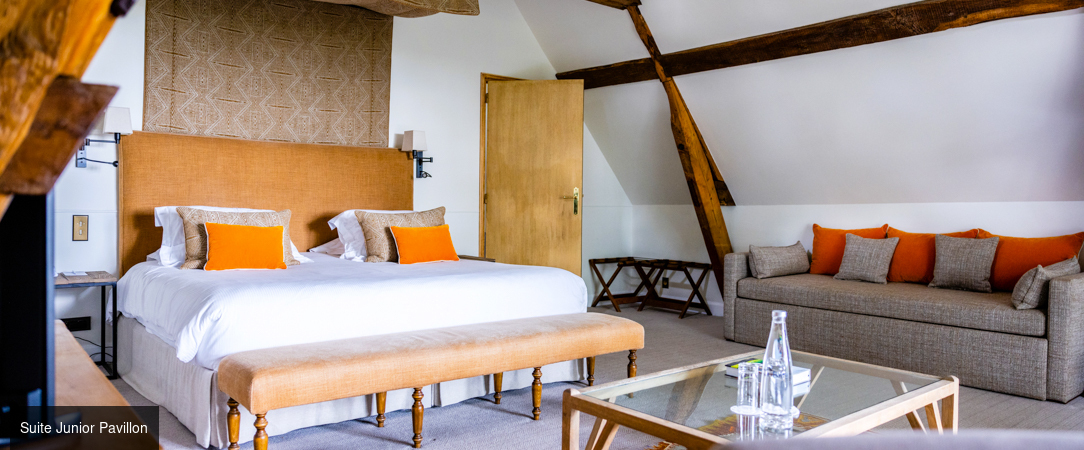 Domaine de la Tortinière ★★★★ - Prenez la route des Châteaux de la Loire et profitez d’une parenthèse châtelaine d’exception. - Centre-Val de Loire, France