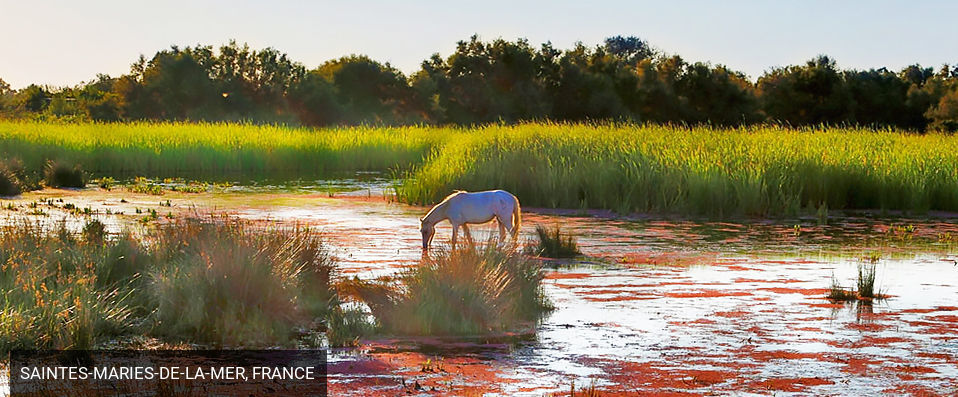 Mas de la Fouque ★★★★ - An idyllic escape in Provence and the Camargue. - Camargue, France