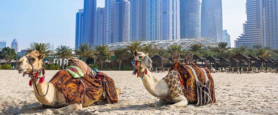 Habtoor Grand Resort, Autograph Collection ★★★★★ - La démesure de Dubaï sur la plage de Jumeirah. - Dubaï, Émirats arabes unis