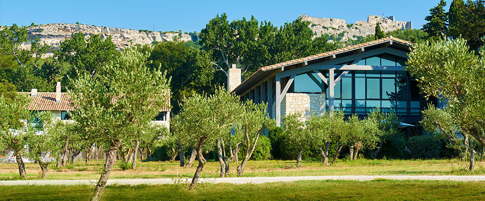 Domaine de Manville ★★★★★ - A luxurious country retreat in the heart of Provence. - Les Baux-de-Provence, France